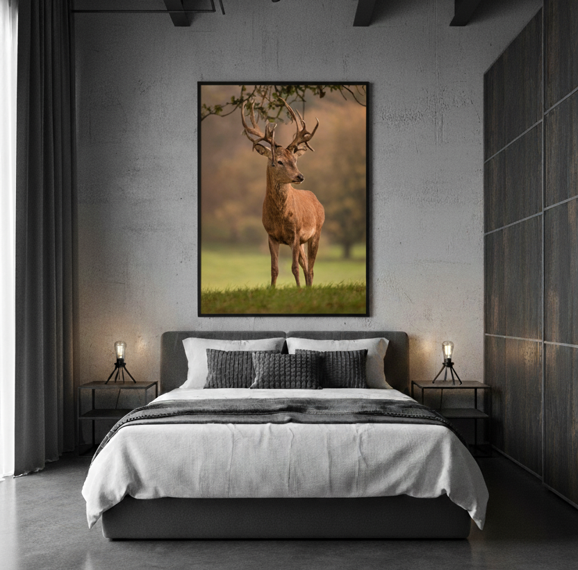 Grace of the Wild – Deer Wall Art Panel
